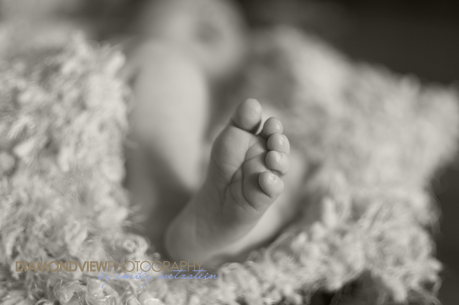 Meet Alexa | Ottawa Newborn Photographer