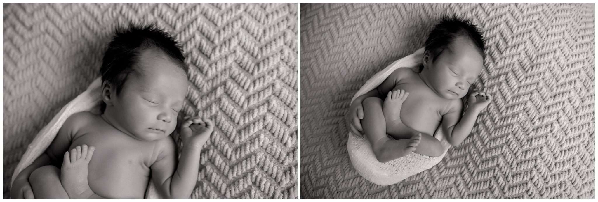 Ottawa Newborn Photographer | Beatrix