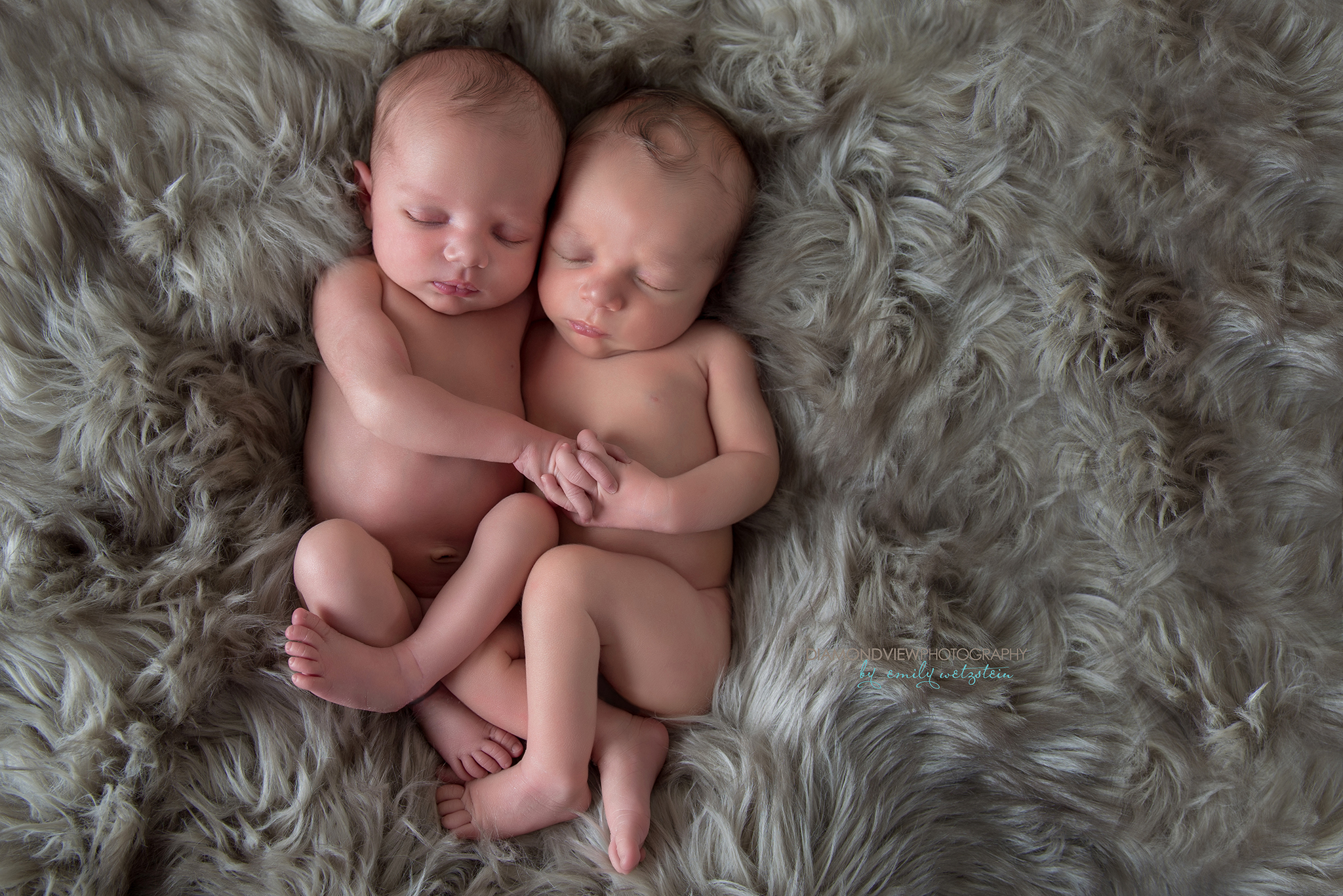 Ottawa Newborn Photographer | Twins Ella & Ehret