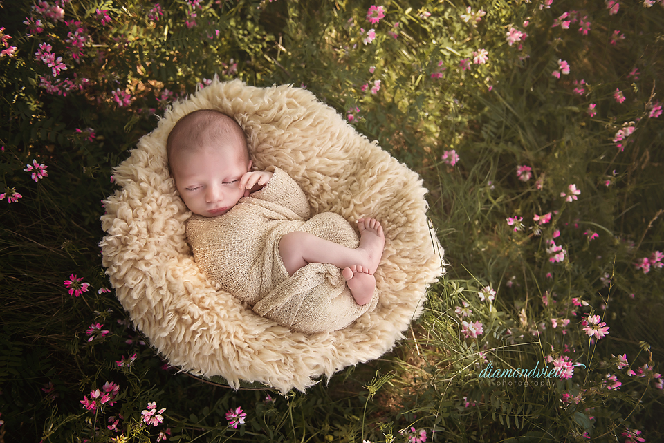 Now Scheduling Outdoor Newborn Sessions