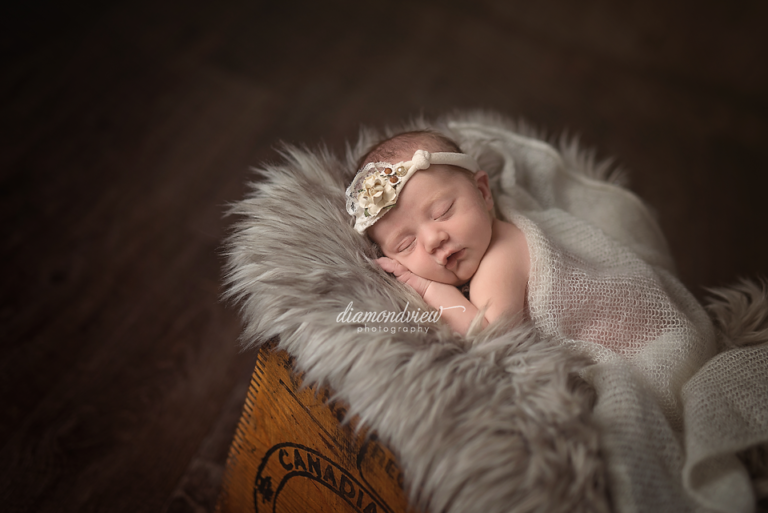 Ottawa Newborn Photographers | Baby Elizabeth