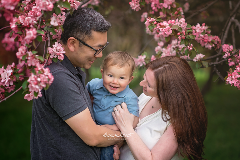 Ottawa Family Photographer | Cherry Blossoms