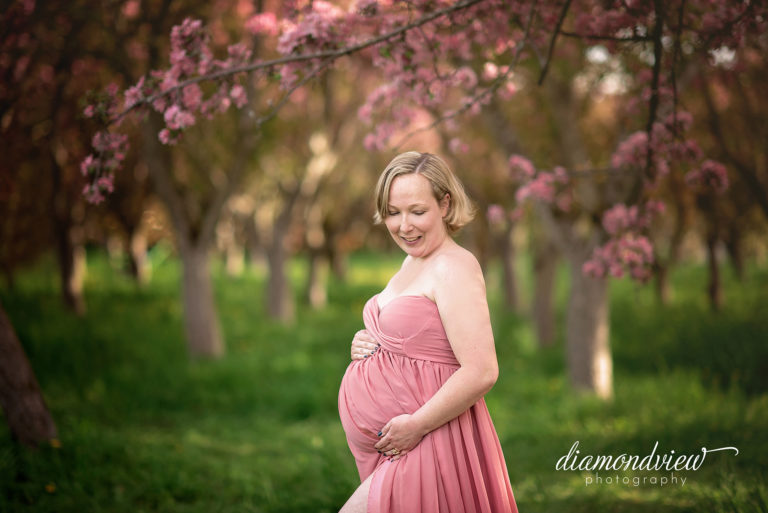 Ottawa Maternity Photographer | Spring Blossoms