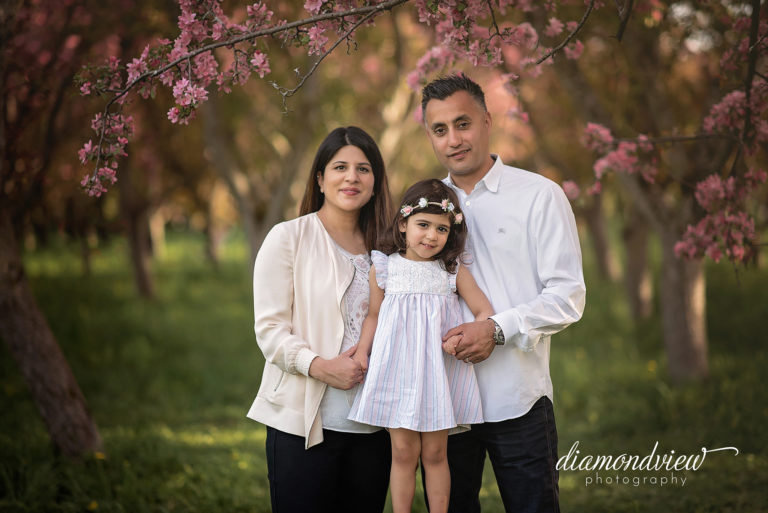 Ottawa Family Photographer | Maternity and Blossoms
