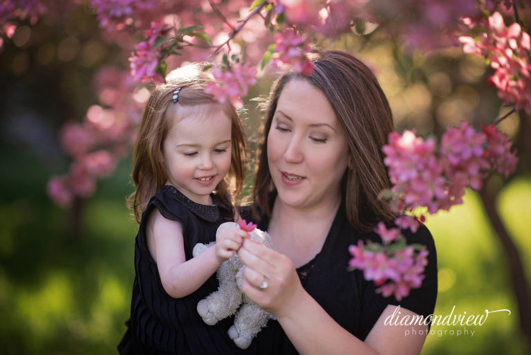 Ottawa Family Photographer | Blossoms