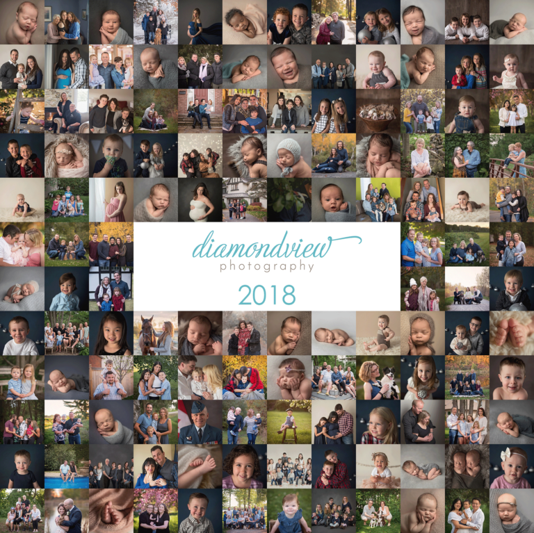 Ottawa Photographer 2018 In Review
