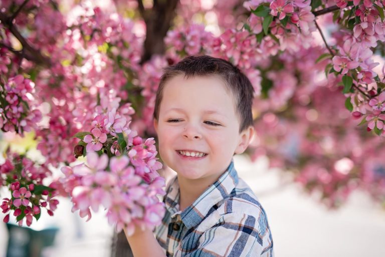 Ottawa Child Photographer | Cherry Blossoms 2020