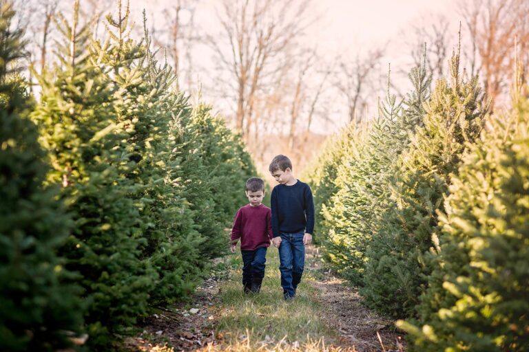 Ottawa Children’s Photographer | At the Tree Farm with N & M