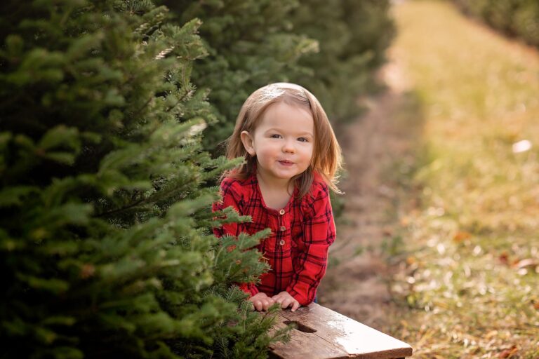 Ottawa Family Photographer | At the Tree Farm with S and the girls