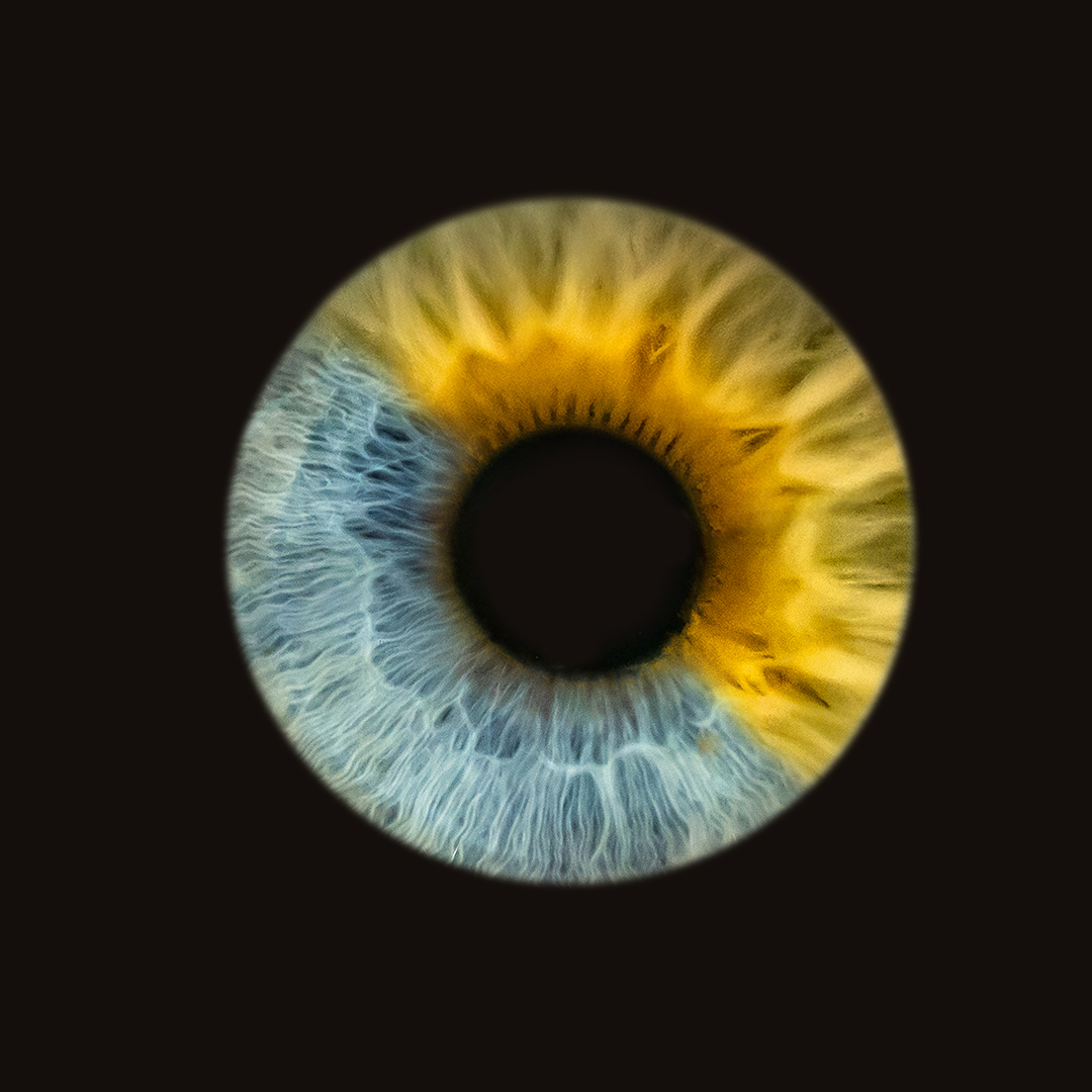 iris portraits ottawa