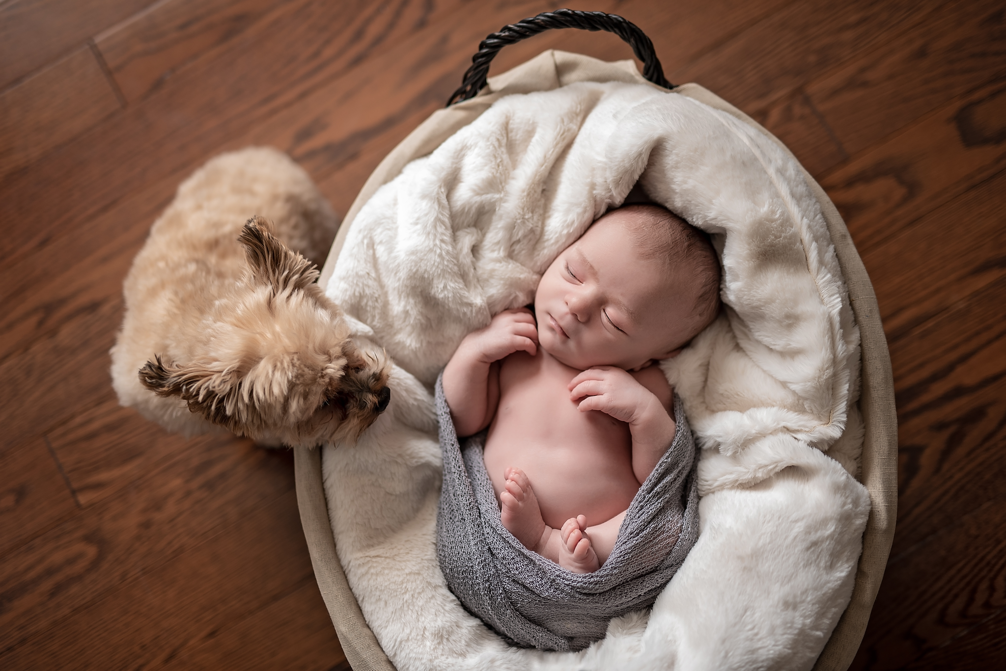 studio vs lifestyle newborn photography